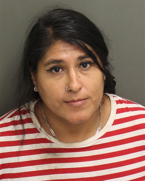 Booking photo of Angelica Ragoytavargas