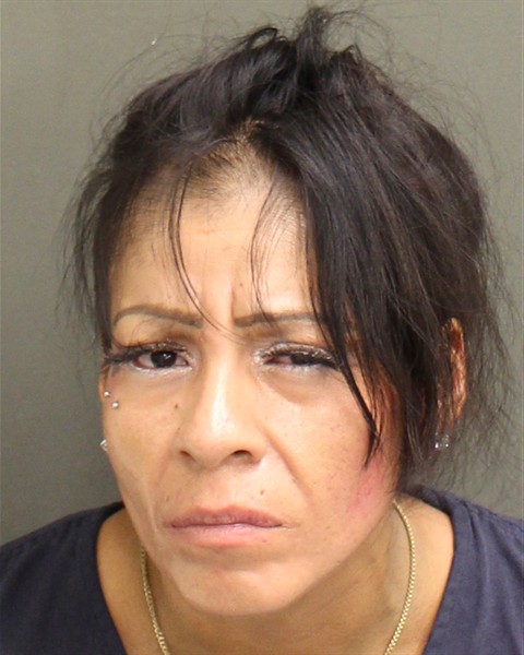 Booking photo of Priscilla Fernandez