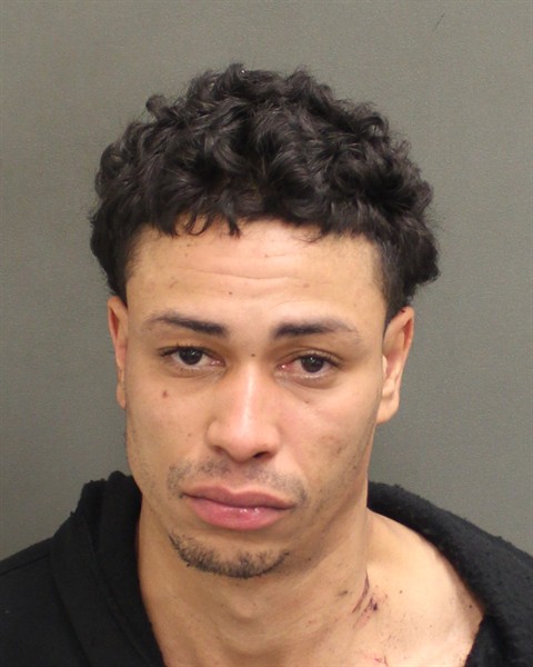 Booking photo of Ronel Rosario