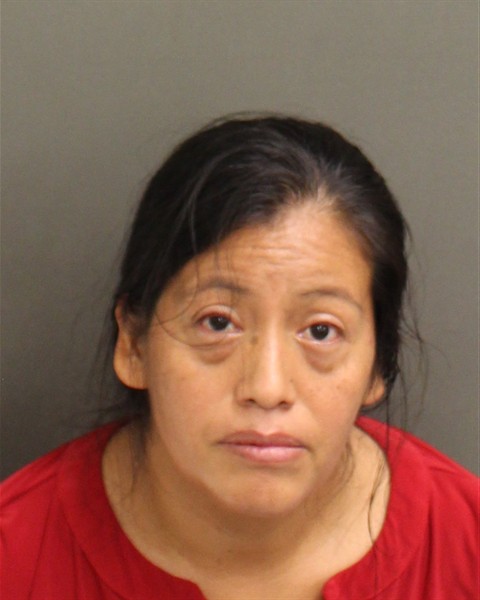 Booking photo of Elena Chavez