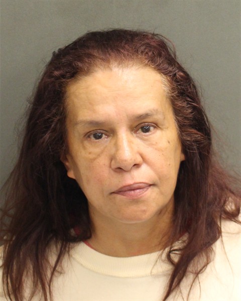 Booking photo of Diana Matos