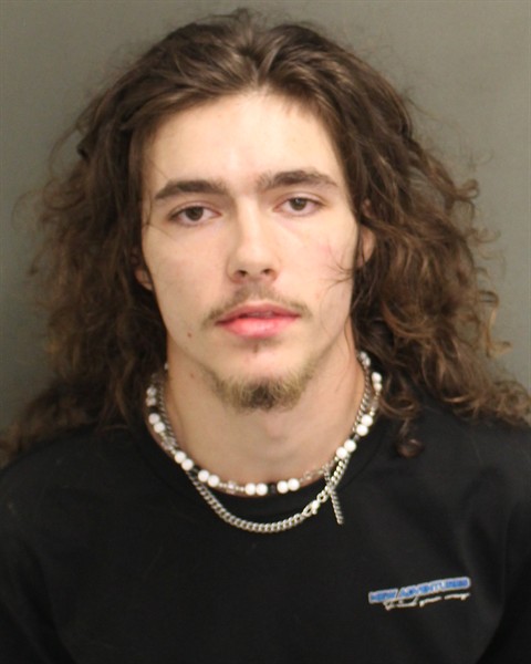 Booking photo of Ryan Whiteside