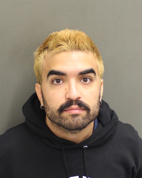 Booking photo of Yanmark Berube