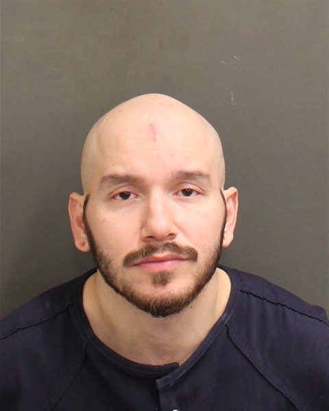 Booking photo of Martin Llamascota