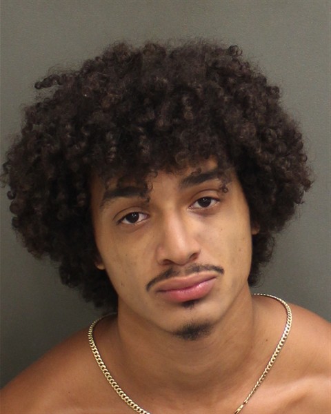 Booking photo of Jadis Medinaezell