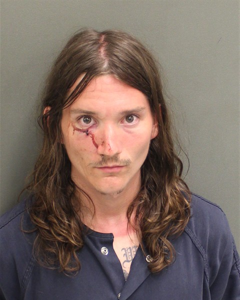 Booking photo of Skyler Wild