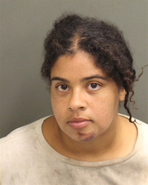 Lydia Montanez booking photo