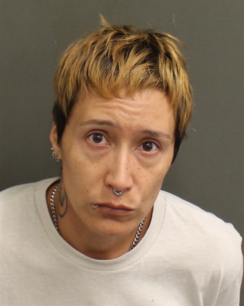 Booking photo of Alina Arias