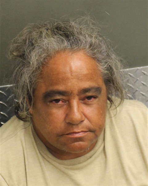 Yvette Mells booking photo