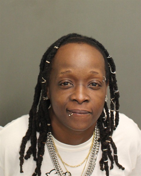 Booking photo of Ann Johnson