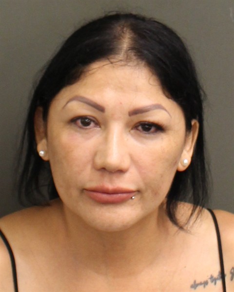 Karen Gonzalesgates booking photo