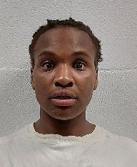 Booking photo of Williminika Williams