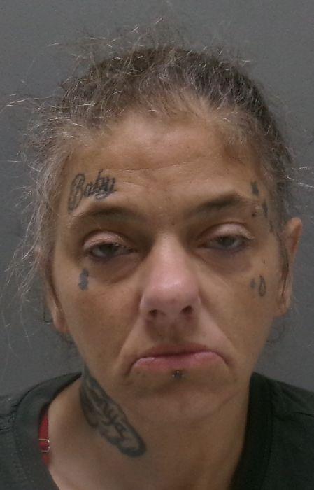 Booking photo of Sonya Babineau