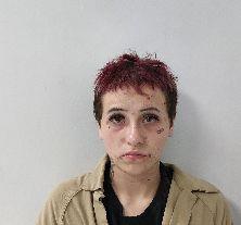 Booking photo of Netha Arteaga