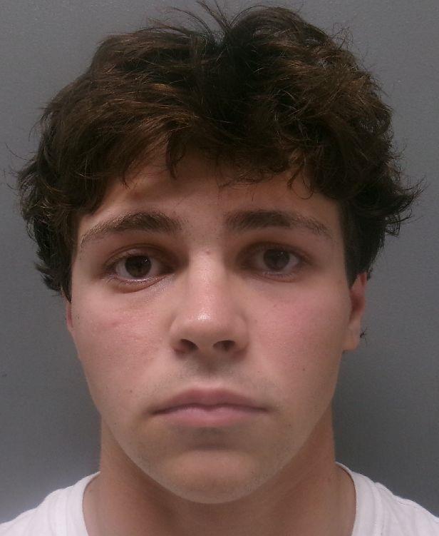 Booking photo of David Hale