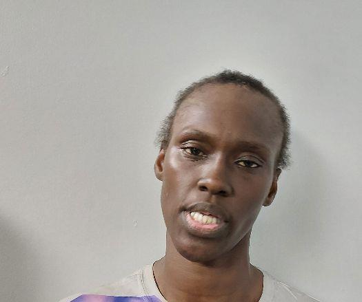 Booking photo of Tera Johnson