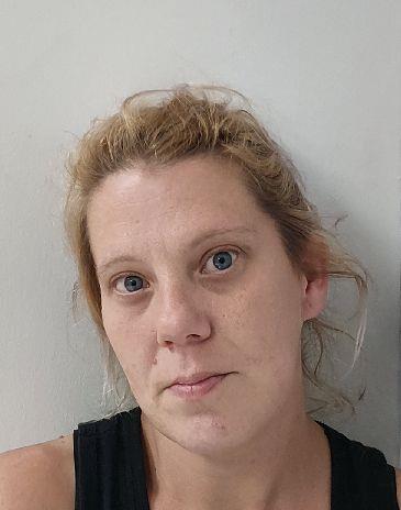 Booking photo of Kandi Barnett