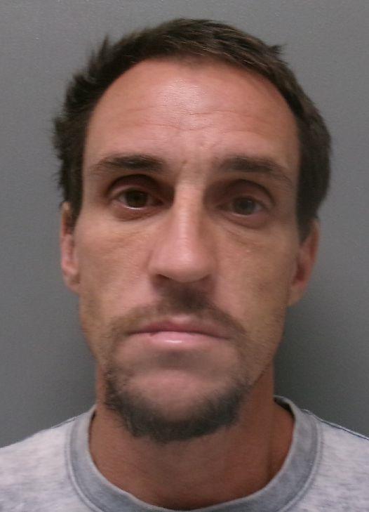 Booking photo of Levi Despain