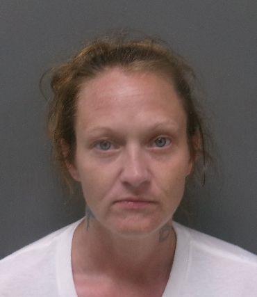 Booking photo of Anna Brown
