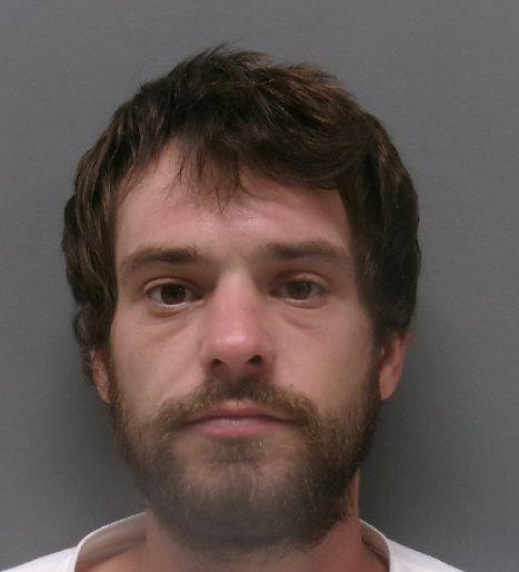 Booking photo of Tristan Methvien