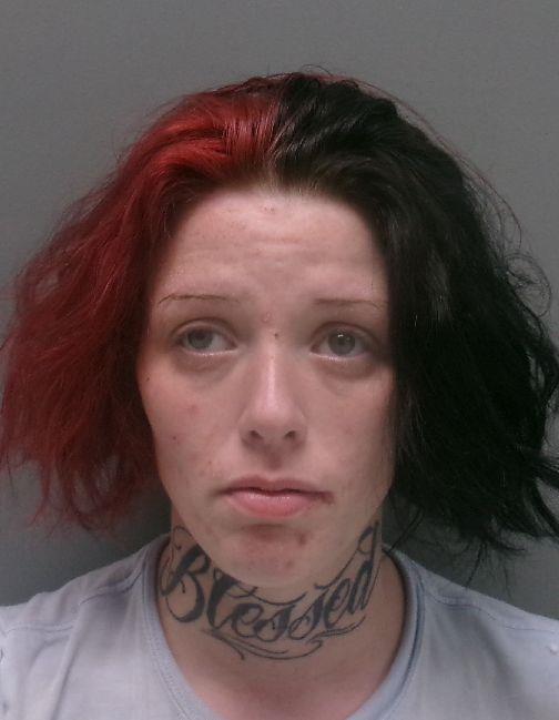 Booking photo of Lexi Joles