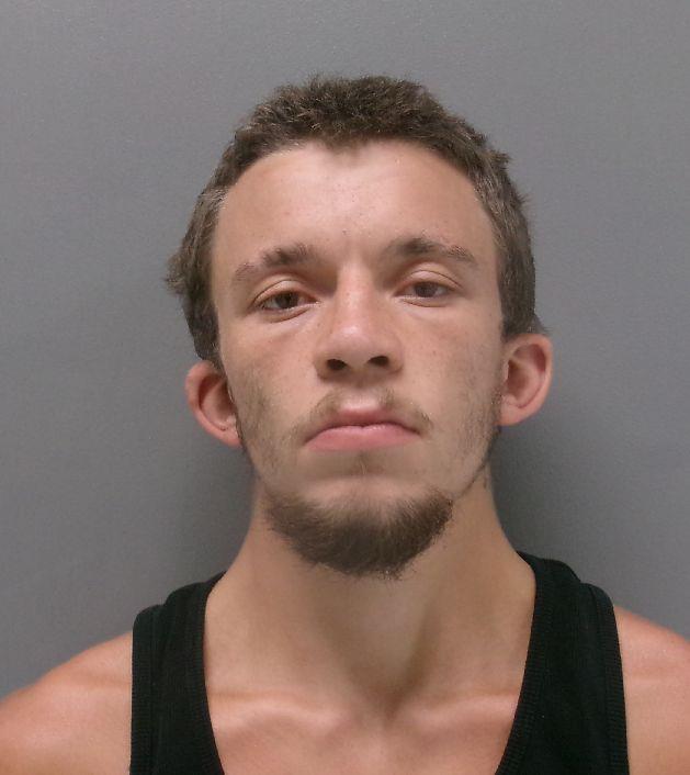 Booking photo of Ethan Roy