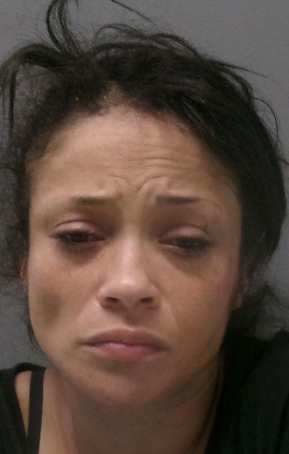 Booking photo of Jameela Khan