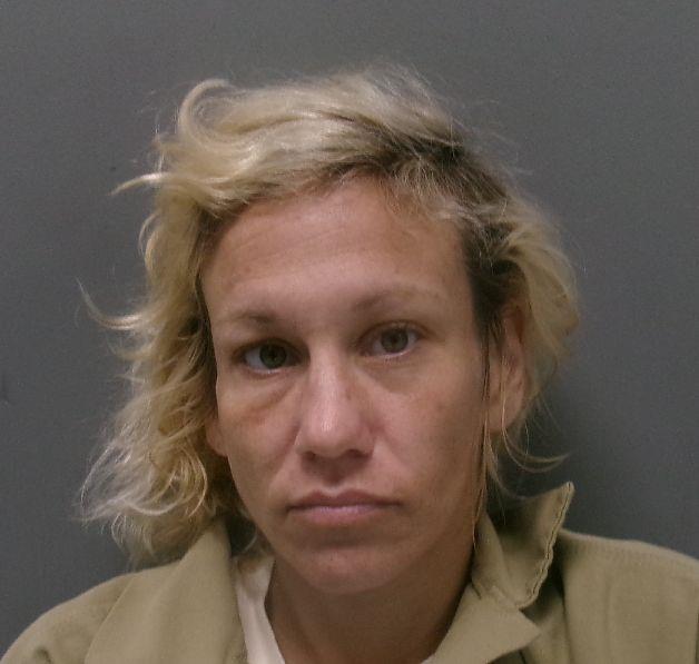 Booking photo of Karissa Rapier
