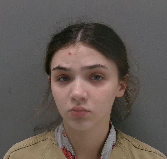 Margret Ryan booking photo