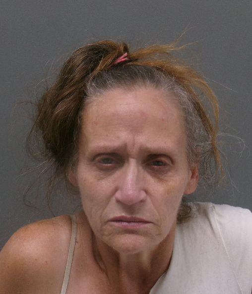 Booking photo of Lesley Wheelington