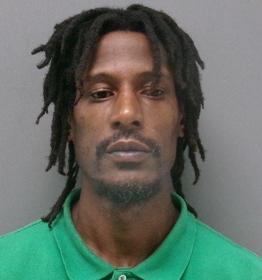 Booking photo of Prance Lowe