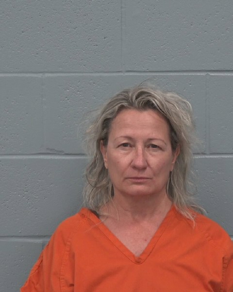 Booking photo of Therese Donnelly