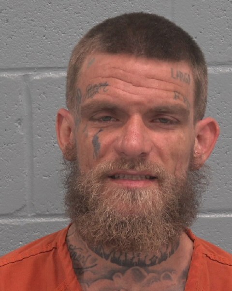 Booking photo of Michael Dimilta