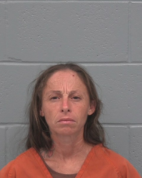 Booking photo of Aja Sudano
