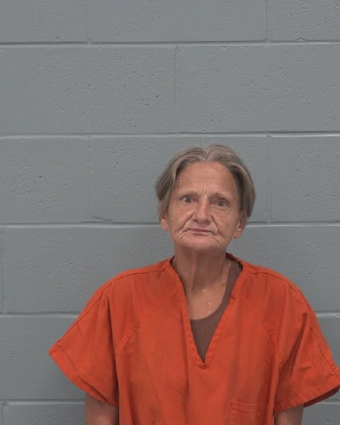 Booking photo of Tina Valentine