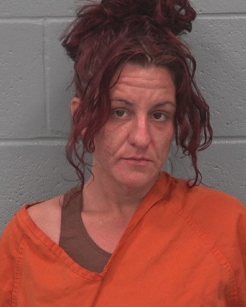 Booking photo of Kristina Nisi