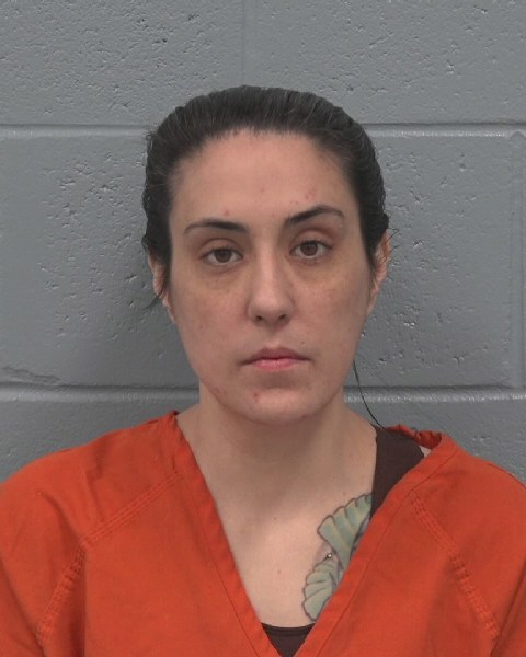 Booking photo of Brittany Davis