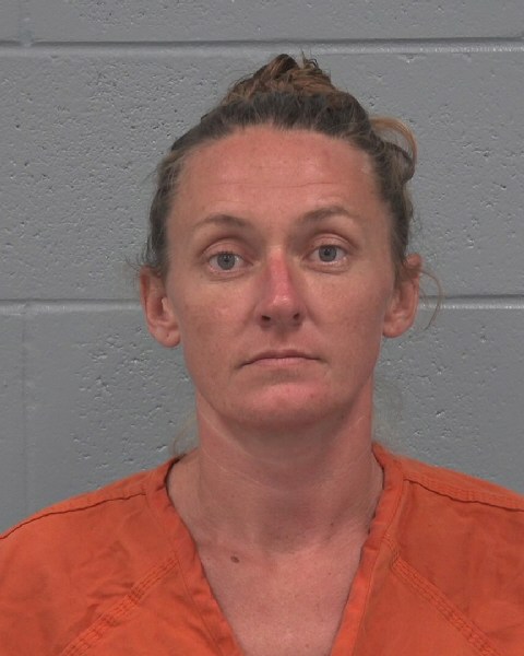 Booking photo of Jessica Liss