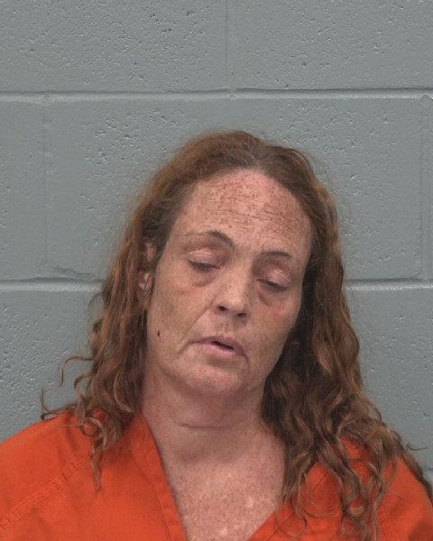 Booking photo of Renee Watson