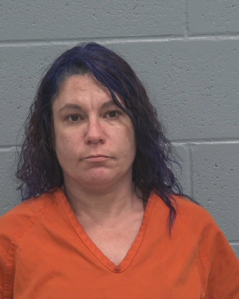 Booking photo of Nicole Lynch-schwarz