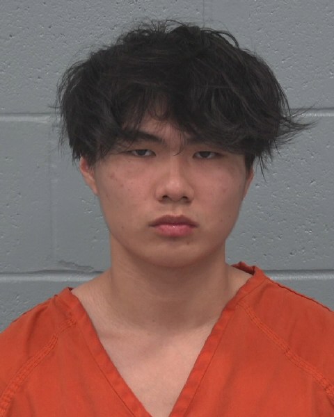 Booking photo of Lijingqi Ren