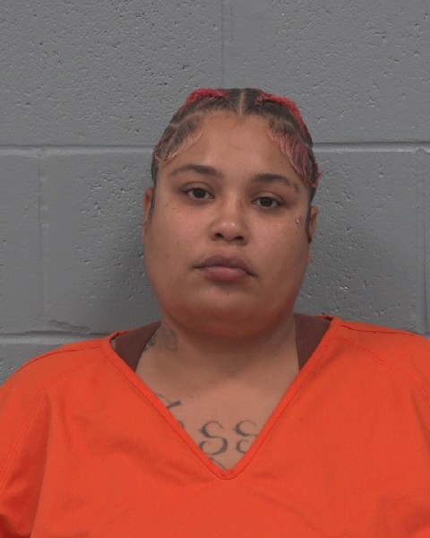 Booking photo of Ashley Perpignand