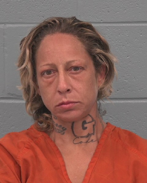 Booking photo of Diane Kapetanis