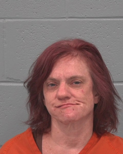 Booking photo of Lisa Chesarok