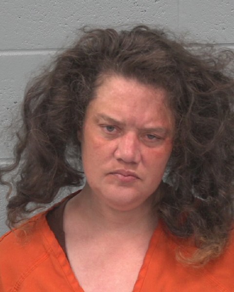 Booking photo of Bridget Johnston