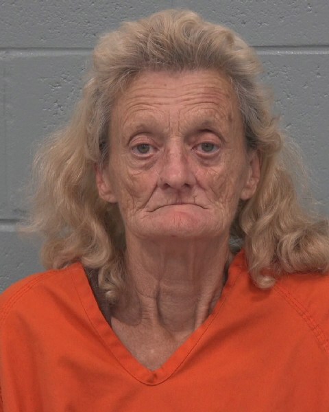 Booking photo of Sheila Bryant