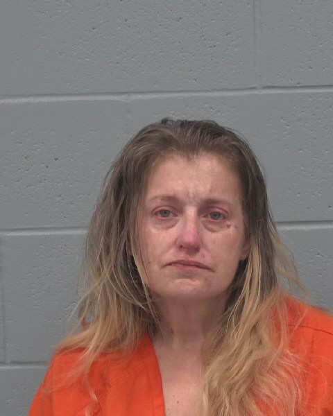 Booking photo of Jaime Covine-morrison