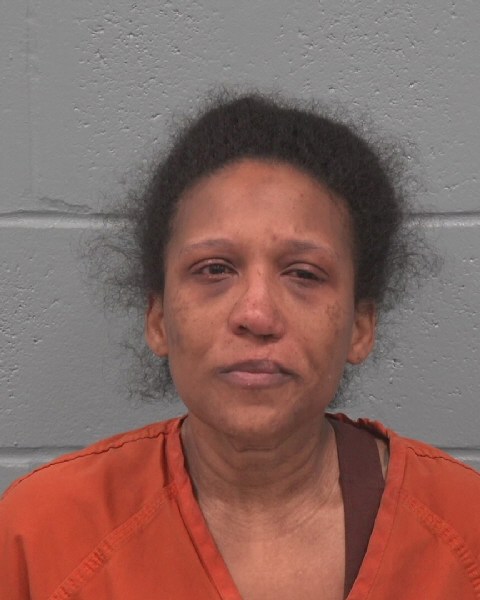 Booking photo of Ashlee Bryant