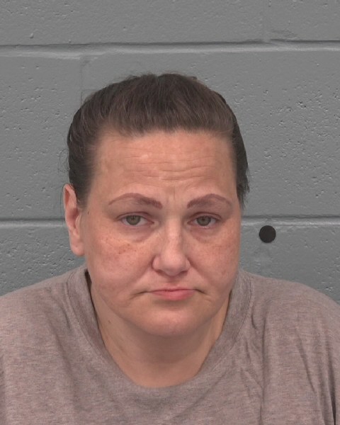 Booking photo of Brandi Meece
