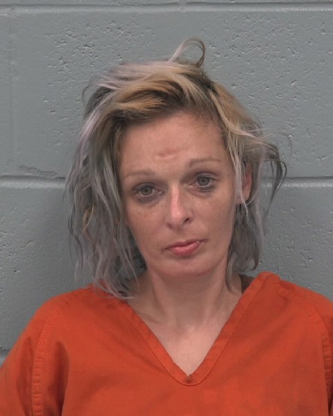 Booking photo of Denisa Polston